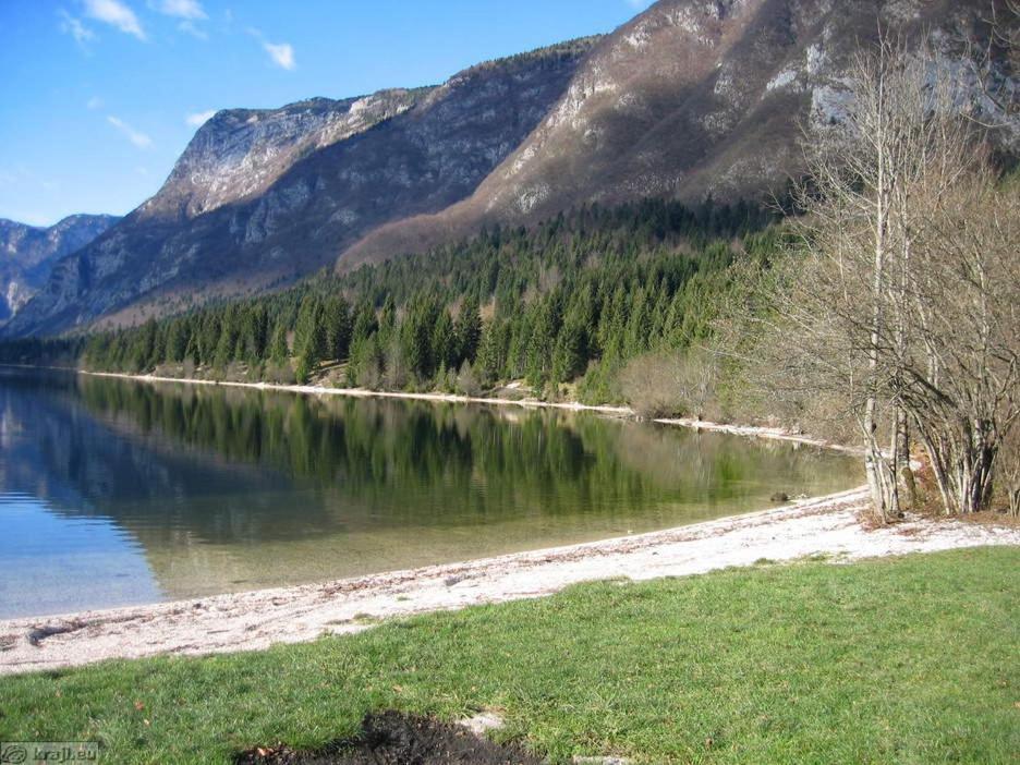 Boutique House Vresje Villa Bohinjska Bistrica Kültér fotó